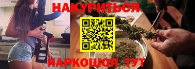гашик Будённовск