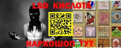 гашик Будённовск