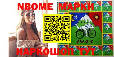 гашик Будённовск