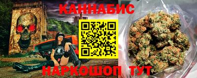 гашик Будённовск