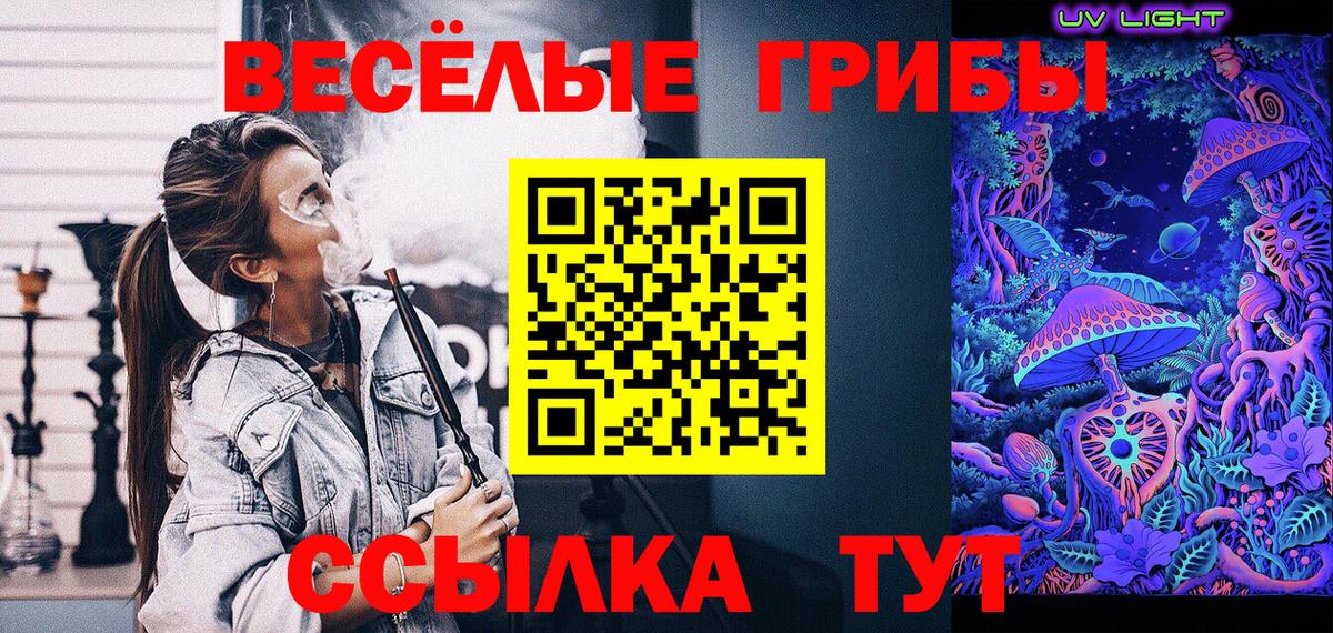 Псилоцибиновые грибы мухоморы  Вход с VPN  Куйбышев 