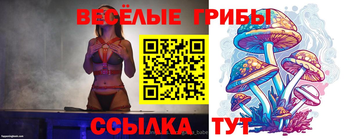 Галлюциногенные грибы Psilocybe Куйбышев